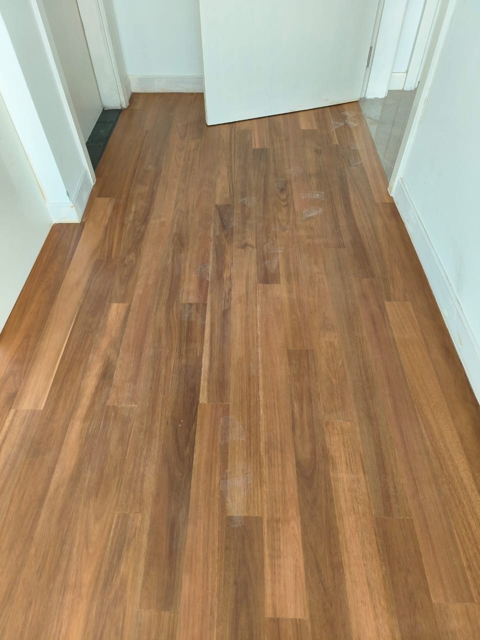 Acacia Flooring